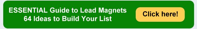 lead magnet ideas